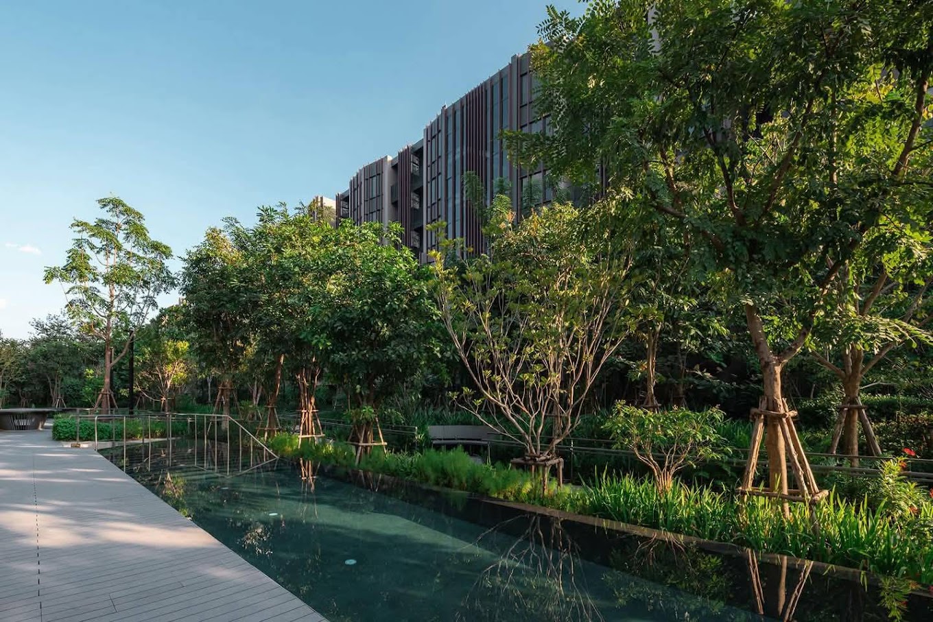 Pond and green landscape at Jin Wellbeing